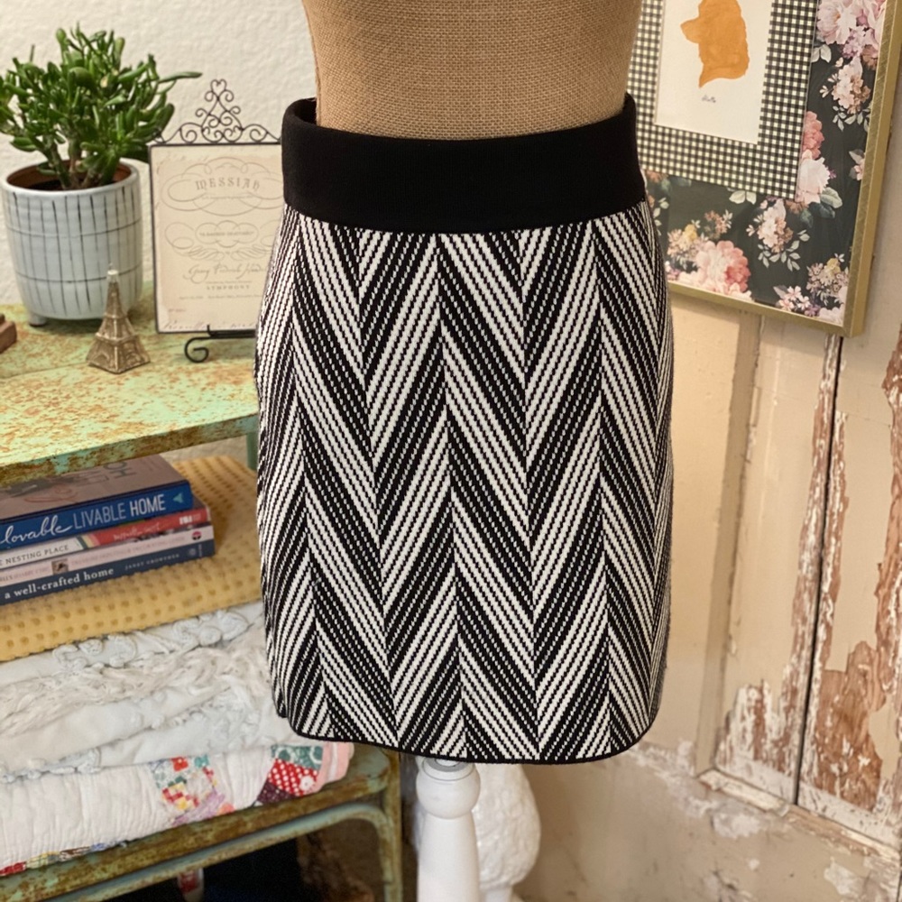 Ann Taylor Knit Skirt